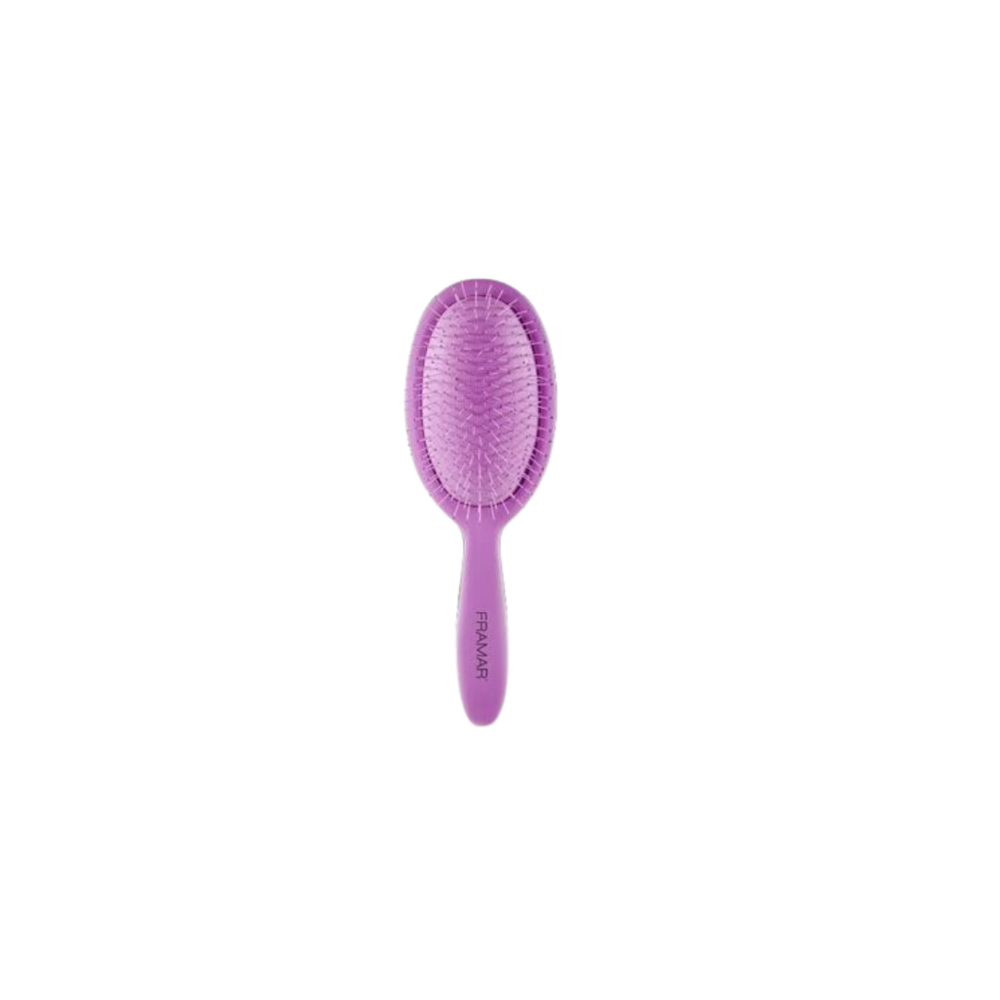 44-050002 FRAMAR DETANGLE BRUSH - PURPLE