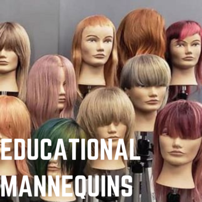 BR-EDUCATIONAL MANNEQUINS